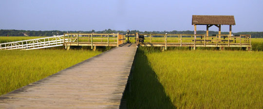 The fishing dock at James Island County Park